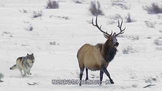 随我一起走进神秘浩瀚的宇宙