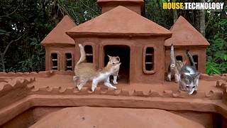 荒野动物建筑师的直播间