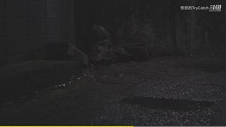 重生之奋发涂墙