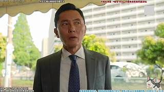 懒猫 美食家 点播