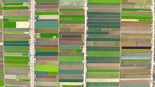 滇西小哥的美食视频