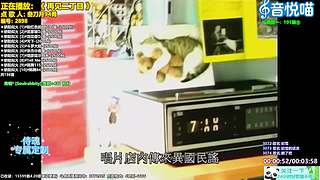 斗鱼音乐MV频道