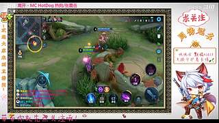 有车位 辅助基本无敌