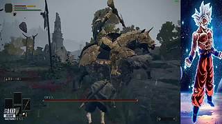 八蛋陪伴，搞笑不断