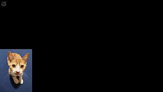 敏锐贼统治大秘境