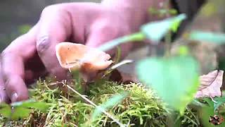 来来嗨嗨嗨
来来来