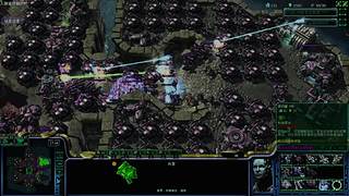 掉宝皮肤直播间