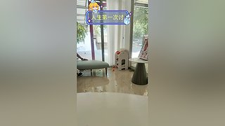 可可爱爱的一天