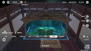 小萌新主播 11555115