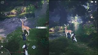 等了这么久终于公测了