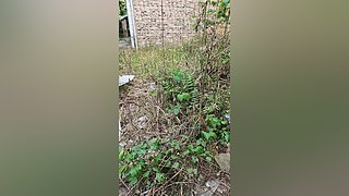 户外大黑的直播间