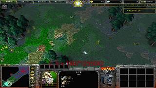 对黑采狗一枚！