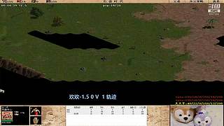 机灵睿智小兔子