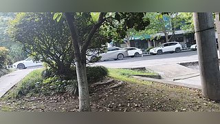 重生之杭州流浪记