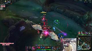 蜘蛛馍：打野教学每晚12点直播 不见不散