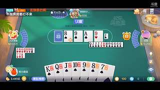 八雀狗都不玩！！！！