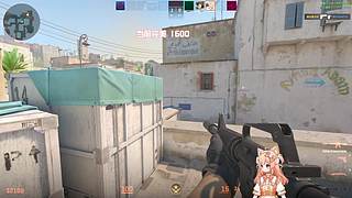 cs农场提醒您：你菜死了！(双倍