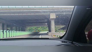 周末有事 休息两天