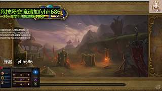 V法-全职业PVP上分(国美欧亚）