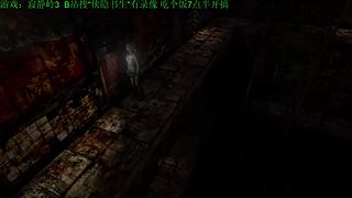 直播【怪猎物语3】，录播【寂静岭】！