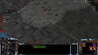 码头哥的直播间