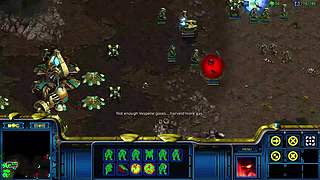 用户03111829的直播间