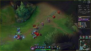 湖南泸溪金帅。