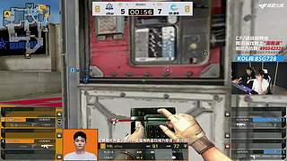 宗师杯白鲨加油~