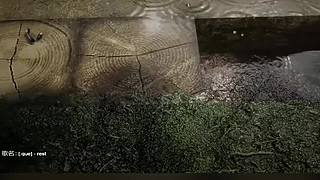 失眠者福音~闭眼听播~~~~