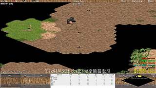 鹰之梦小红花直播间