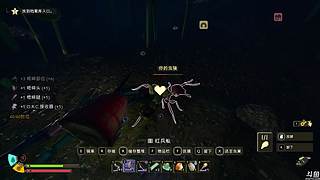 虫子大师，哈哈