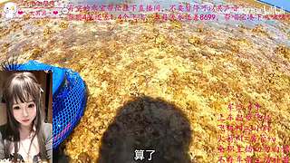 【双倍】奶喵喵超级无敌白，希望有奇迹