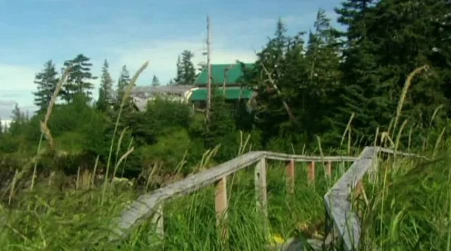 荒野求生，带大家体验不一样的生活