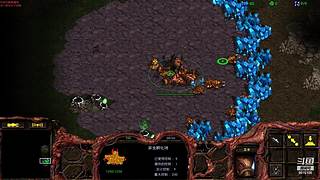 暴风虫族Ameba教你玩转星际争霸I