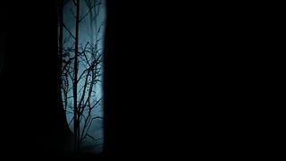 【Cat】多人联机 躲猫猫