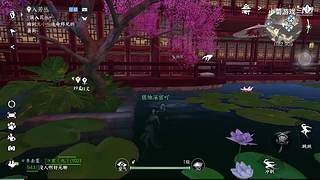 小菊游戏的直播间