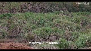 娱乐大于一切 10440627