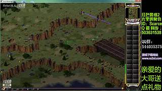 【阿绒】任务日常