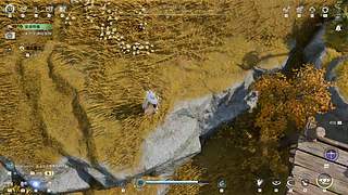 探索 战场  33  带 肝的