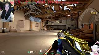 离婚了专心打游戏