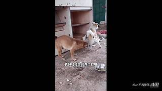 星球大战前线2玩玩看。