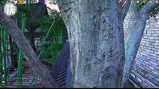 野外生存食物制作攻略