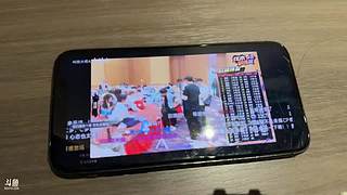 最好的蓝队（狗仔版）