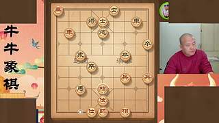 牛牛象棋的直播间