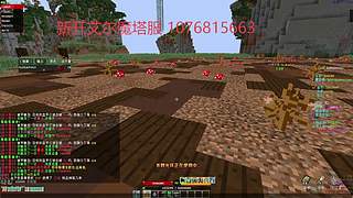 我的世界张先生