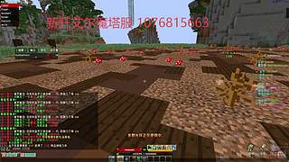 我的世界张先生