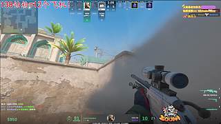 【小白鸽】钻份=12个飞机！