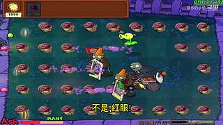 宝子们，开席了！