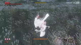 萌新菜菜，大佬带带