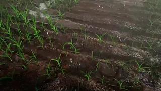 失眠者福音~闭眼听播~~~~